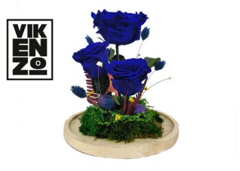 Vikenzo Nature Explica Como Las Flores Preservadas Son La Tendencia En Decoración Para El Hogar