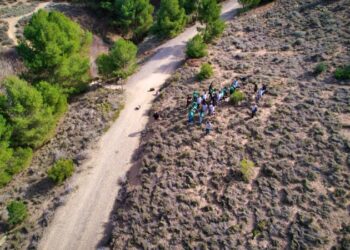 Cromogenia Units Planta 80 árboles Para Luchar Contra La Desertificación