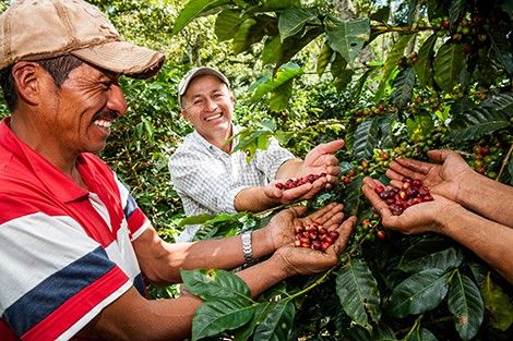 Oikocredit Apuesta Por La Capacitación Para Asegurar El Futuro Del Sector Cafetero