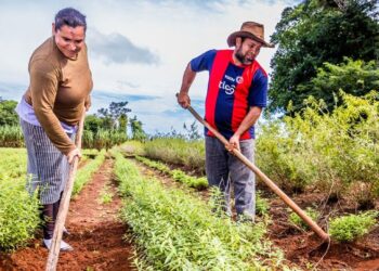 Oikocredit Contribuye Al Significativo Crecimiento De Los Créditos Destinados Desde España A Proyectos Transformadores