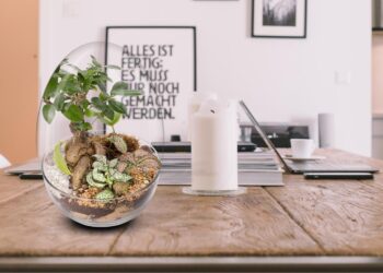 Biogarden, Ecosistemas Autosostenibles Para Decoración Y Regalo